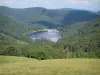 Route des Crêtes - Prairie avec vue sur un lac entouré d'arbres (Parc Naturel Régional des Ballons des Vosges)
