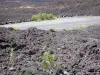 Route des Laves - Route bordée de coulées volcaniques