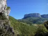 Route van Petits Goulets - Regionaal Natuurpark van Vercors: panorama van de kliffen omgeven door groen