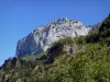 Route van Petits Goulets - Regionaal Natuurpark van Vercors: uitzicht op de kliffen met uitzicht op de vegetatie