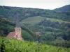 Route des Vins - Vignes, église Saint-André du village d'Andlau, arbres, maisons et collines avec champs de vignes et forêt