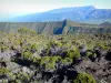 Route du Volcan - Panorama depuis la route forestière du Volcan