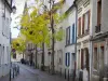 Rueil-Malmaison - Guida turismo, vacanze e weekend degli Hauts-de-Seine