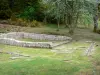 Ruínas galo-romanas dos carros - Restos da villa galo-romana de carros; no planalto de Millevaches, no Parque Natural Regional de Millevaches em Limousin, no município de Saint-Merd-les-Oussines