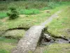 Ruínas galo-romanas dos carros - Ruisseau na beira dos restos