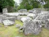 Ruínas galo-romanas dos carros - Blocos de granito do complexo funerário