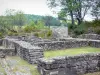 Ruinas galorromanas de Les Cars - Los restos de la villa galo-romana en un área verde