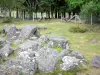 Ruinas galorromanas de Les Cars - Bloques de granito del complejo funerario