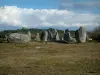 La ruta de los megalitos - Guía turismo, vacaciones y fines de semana en Morbihan