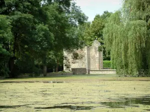 Sagonne castle - Moats with water lilies, trees and path leading to the fortress