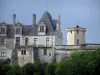 Saint-Aignan-sur-Cher - Château Renaissance, dans la vallée du Cher