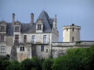 Saint-Aignan-sur-Cher - Castillo renacentista en el Valle del Cher