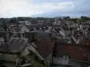 Saint-Aignan-sur-Cher - Vue sur les toits des maisons de la cité médiévale, dans la vallée du Cher