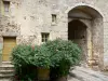 Saint-Benoît-du-Sault - Porta fortificata (la porta) e arbusti in fiore