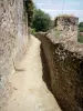 Saint-Benoît-du-Sault - Passerella (chemin des Groseilliers)