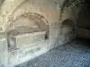 Saint-Bertrand-de-Comminges - Cloître de la cathédrale Sainte-Marie : sarcophages