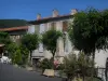 Saint-Bertrand-de-Comminges - Arbres, arbustes et maisons du village