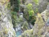 Saint-Christophe-ан-Oisans - Oisans - Массив Экринс (Национальный парк Экринс) - Долина Венеон: вид на мост Дьявола