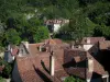 Saint-Cirq-Lapopie - Daken van de huizen en bomen, in de vallei van de Lot in de Quercy
