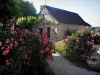 Saint-Cirq-Lapopie - Bloeiende struiken en in de zomer huis in de vallei van de Lot in de Quercy