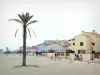 Saint-Cyprien - Plage de sable agrémentée de palmiers, promenade longeant la plage et façades de la station balnéaire 