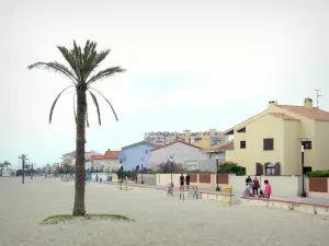 Saint-Cyprien - Playa de arena decorado con palmeras, paseo marítimo y fachadas de la localidad