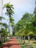 Saint-Denis - Alley staat tuin met palmbomen