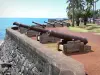 Saint-Denis - Barachois dominante canons van de Indische Oceaan
