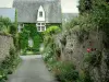 Saint-Denis-d'Anjou - Ruelle fleurie et façade d'une maison couverte de vigne vierge