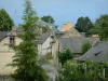 Saint-Denis-d'Anjou - Vue sur les maisons du village