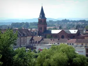 Saint-Die-des-Vosges - Árvores, igreja e casas da cidade