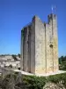 Saint Emilion - Tour du Roy, mantenha do castelo de Roy