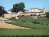 Saint-Émilion - Clos La Madeleine and its terraced vineyards, vineyard of Saint-Émilion in the Bordeaux vineyards 