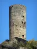 Saint-Floret - Donjon du château