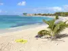 Saint-François - Plage des Raisins Clairs, sur l'île de la Grande-Terre, avec son sable fin et sa vue sur l'océan Atlantique