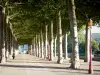 Saint-Girons - Promenade du Champ de Mars (allées bordées d'arbres)