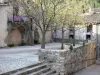 Saint-Guilhem-le-Désert - Perceel met bomen en huizen van het middeleeuwse dorp