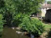 Saint-Jean-de-Côle - Rivière (la Côle), arbres au bord de l'eau et maisons