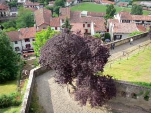 Saint-Jean-Pied-de-Port - Tourism & Holiday Guide Saint-Jean-Pied-de-Port - Tourism & Holiday Guide