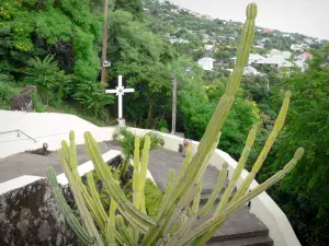 Saint-Leu - Way of the Cross leading to the Notre-Dame-de-la-Salette chapel, cactus in the foreground