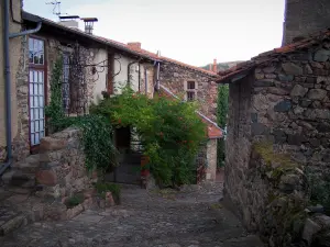 Saint-Maurice-sur-Loire - Ruelle et maisons du village