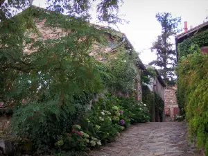 Saint-Maurice-sur-Loire - Ruelle pavée fleurie (fleurs) et maisons du village