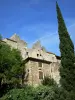 Saint-Montan - Château féodal surplombant les maisons en pierre du village médiéval ; cyprès en premier plan