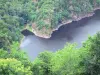 Saint-Nazaire - Zicht op de rivier de Dordogne omzoomd met bomen van St-Nazaire website