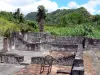 Saint-Pierre - Ruines de la maison coloniale de santé, dans le quartier du Fort, et paysage verdoyant