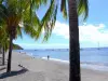 Saint-Pierre - Plage de sable bordée de cocotiers et mer des Caraïbes parsemée de voiliers
