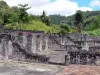Saint-Pierre - Ruines de la maison coloniale de santé, dans le quartier du Fort, et paysage verdoyant