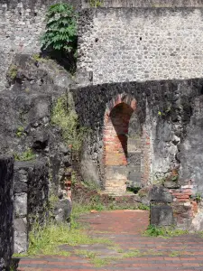 Saint-Pierre - Ruinas del teatro