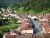 Saint-Quirin - Vue sur les toits de maisons du village depuis la colline de la Haute Chapelle