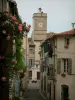 Saint-Rémy-de-Provence - Straat met huizen met een roos en de toren van het stadhuis (voormalig klooster) op de achtergrond